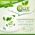 Colly Chlorophyll Plus Fiber ʡѴÿ   ҧþ ¨ҡ