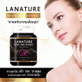 Lanature Grape Seed Extract ʡѴҡͧ ͹Ҿ٧ԵԹ 20 ٧ԵԹա 50  ءѭҼ ׹͹ 觻 ¹ Шҧ