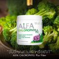 Real Elixir Alfa Chlorophyll Plus Fiber ( ÿ ) è 100  Ѻҧ Ҵ