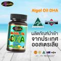 Auswelllife Algal Oil DHA ſ š  ͪ