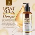 ҵԹ GOATMILK PREMIUM Shampoo