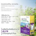 Real Elixir Alfa Chlorophyll  Ԥ ſ ÿ 6 ͧ