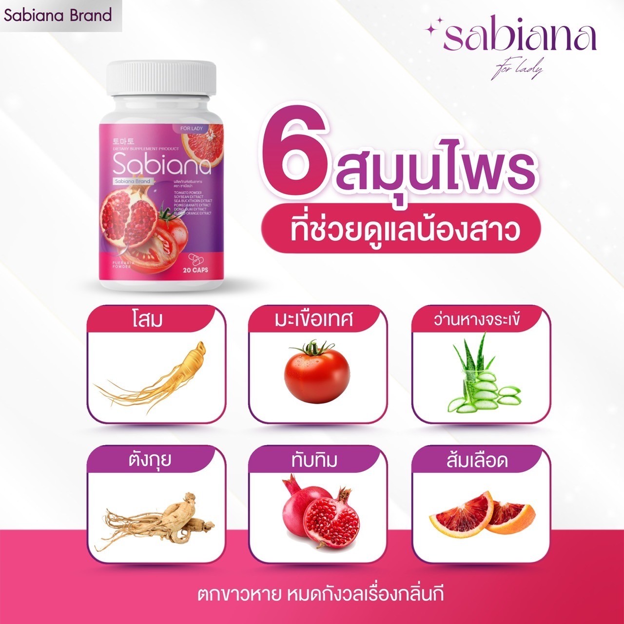 �ٻ�Ҿ���3 �ͧ�Թ��� : ( 1�лء ) ��������Ҥ����ਹ �ٻẺ�лء 20 ᤻���