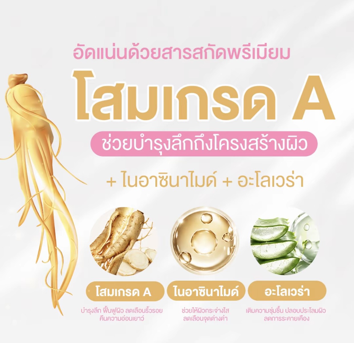 �ٻ�Ҿ���3 �ͧ�Թ��� : ������� �÷Թ�� Ginseng Vitamin Cream 10g. �Ե��Թ�������� ��лء�˭�  10g. ( �ͧ��ҡ����ѷ )